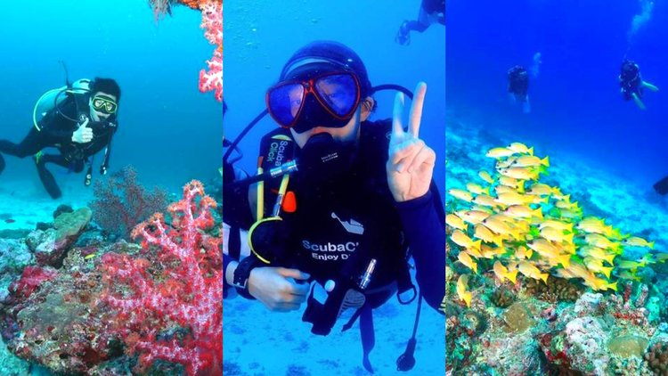 Diving Into Paradise: Thailands Top Dive Sites