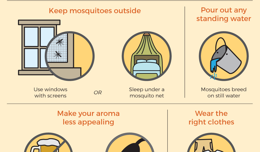 What Are The Best Ways To Protect Myself From Mosquitoes And Avoid Mosquito-borne Illnesses?