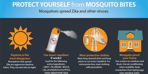 What Are The Best Ways To Protect Myself From Mosquitoes And Avoid Mosquito-borne Illnesses?